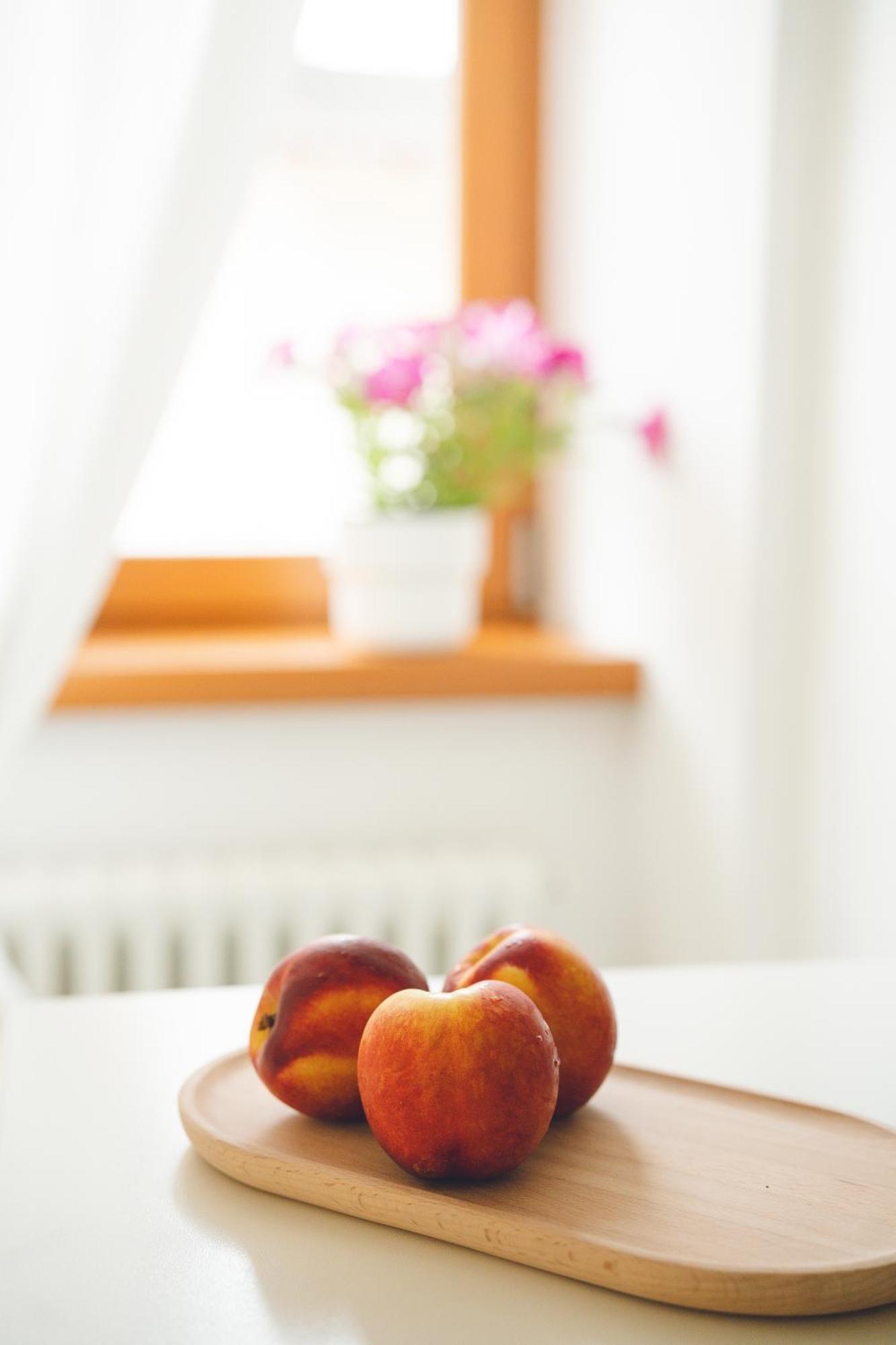 Appartamenti Maso Giare 阿科 外观 照片